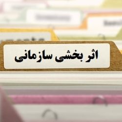 مجموعه مقالات اثربخشی سازمانی-tadbirafza.com