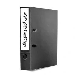 فرایند مربیگری و منتورینگ