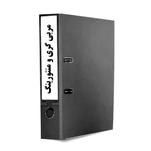 فرایند مربیگری و منتورینگ