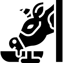 خوراک دام